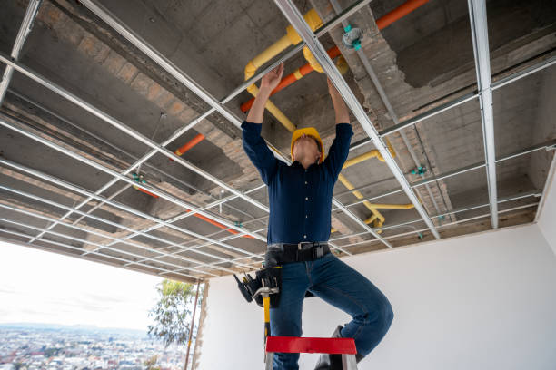 Best Plumbing Inspection Services  in Rayville, LA